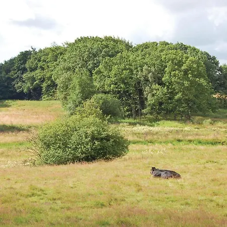 One-bedroom In Ferienhaus Hovborg