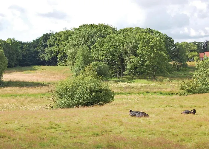 One-bedroom In Holiday home Hovborg